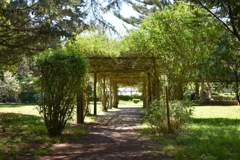 Vivero Cosme Argerich